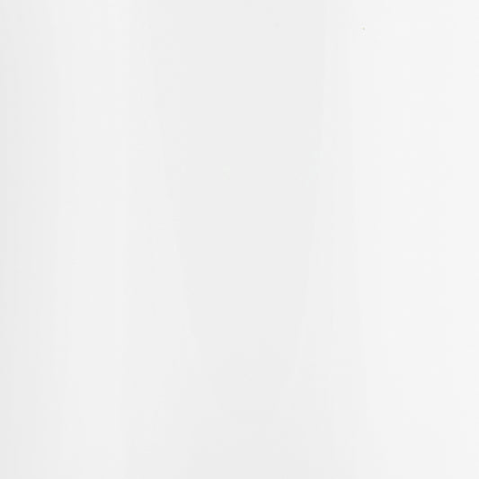 Wehrli 13-18 Dodge 6.7L Cummins OEM Placement Coolant Tank Kit - Gloss White